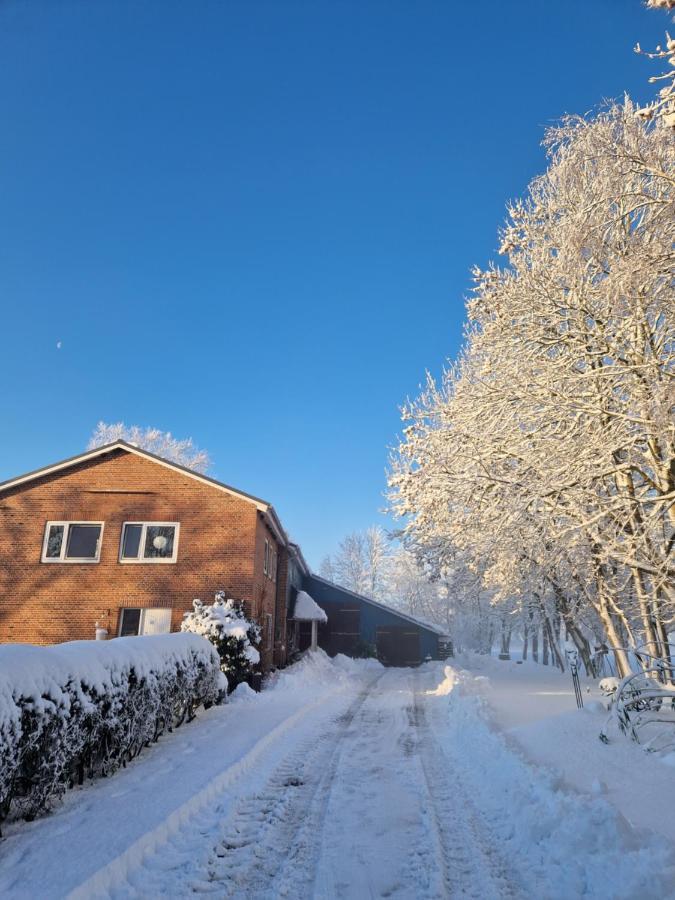 Ferienwohnung Sort Sol Grellsbuelldeich 7 Aventoft Zewnętrze zdjęcie
