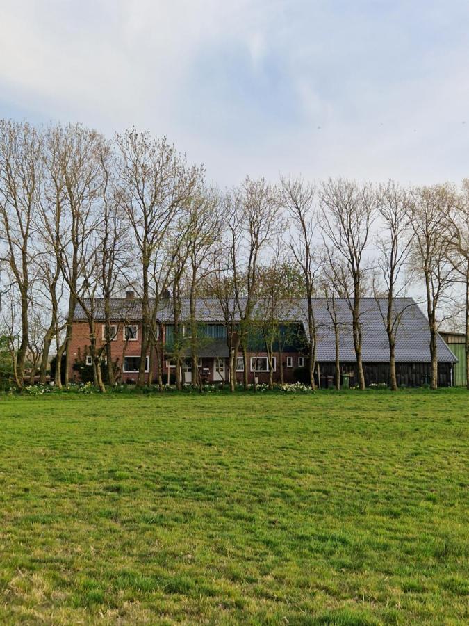 Ferienwohnung Sort Sol Grellsbuelldeich 7 Aventoft Zewnętrze zdjęcie