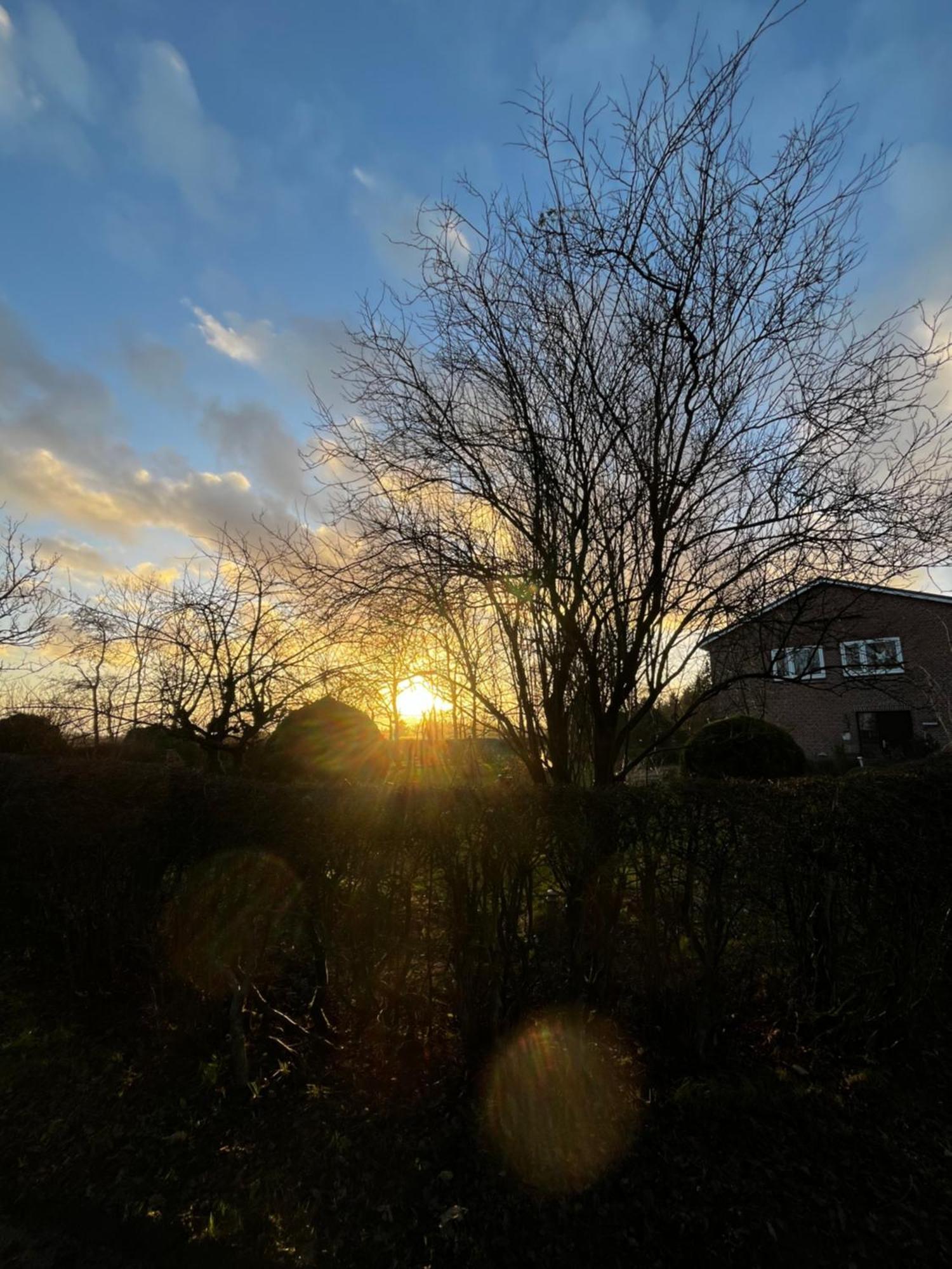 Ferienwohnung Sort Sol Grellsbuelldeich 7 Aventoft Zewnętrze zdjęcie